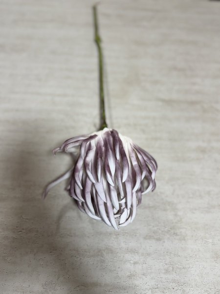 ورد