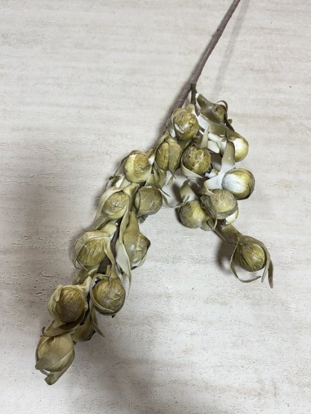 ورد