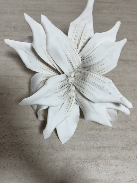 ورد