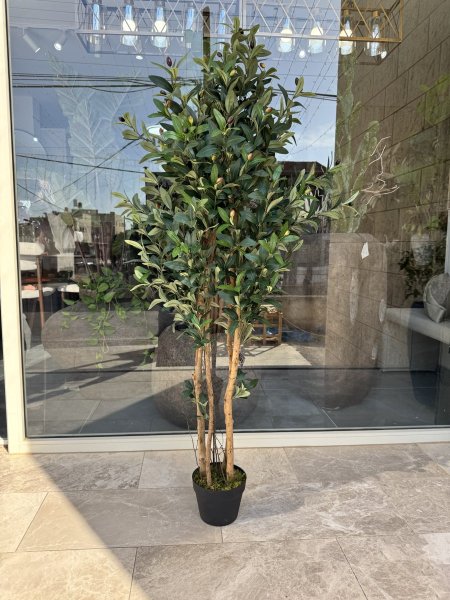 شجره زتون 150cm