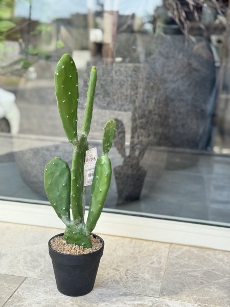 صباره